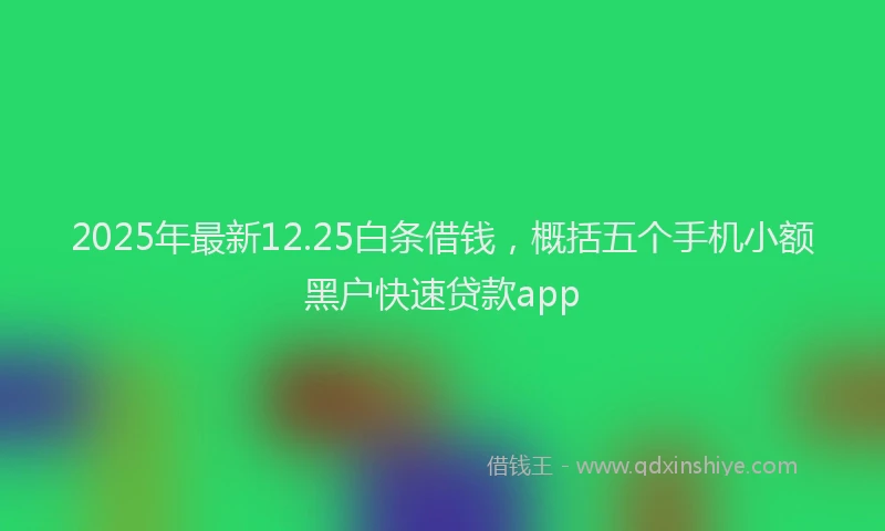 2025年最新12.25白条借钱，概括五个手机小额黑户快速贷款app