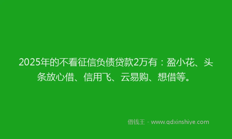 2025年的不看征信负债贷款2万有：盈小花、头条放心借、信用飞、云易购、想借等。