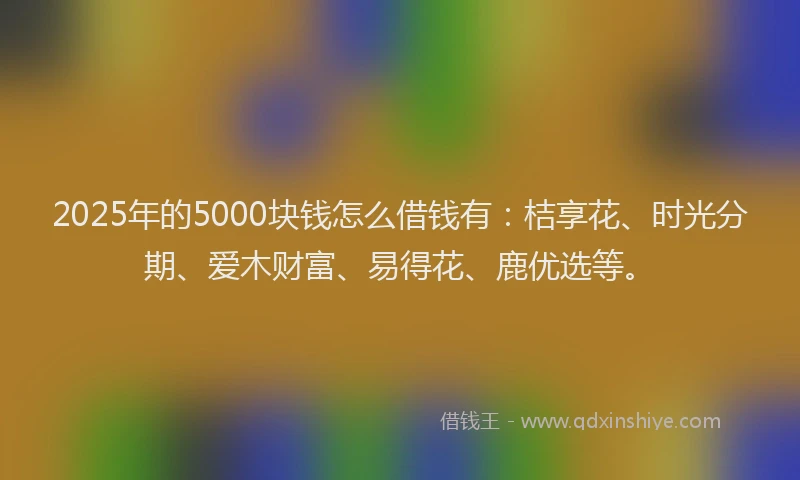 2025年的5000块钱怎么借钱有：桔享花、时光分期、爱木财富、易得花、鹿优选等。