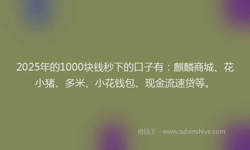 2025年的1000块钱秒下的口子有：麒麟商城、花小猪、多米、小花钱包、现金流速贷等。