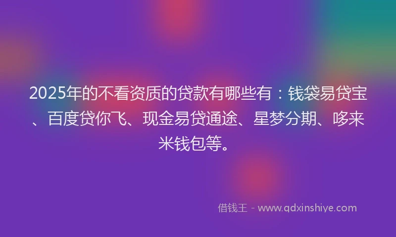 2025年的不看资质的贷款有哪些有：钱袋易贷宝、百度贷你飞、现金易贷通途、星梦分期、哆来米钱包等。
