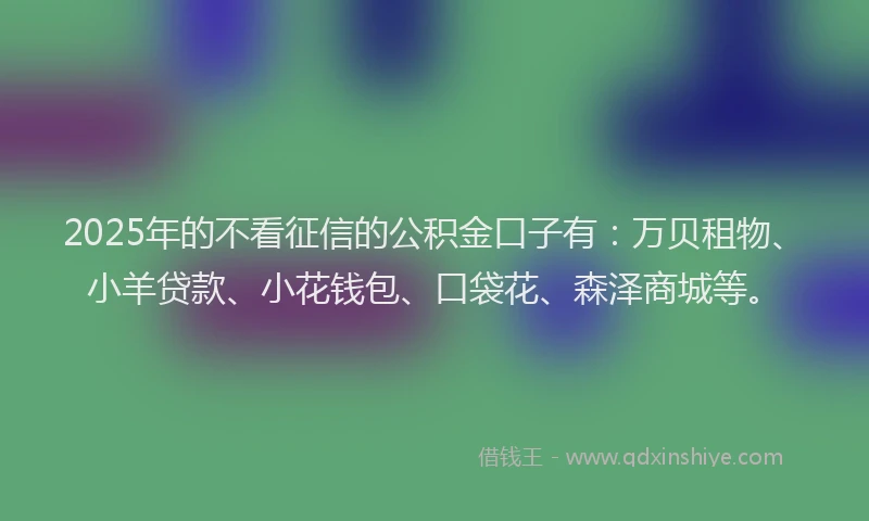 2025年的不看征信的公积金口子有：万贝租物、小羊贷款、小花钱包、口袋花、森泽商城等。