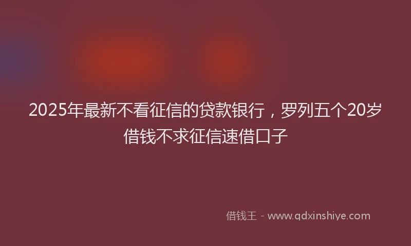 2025年最新不看征信的贷款银行，罗列五个20岁借钱不求征信速借口子