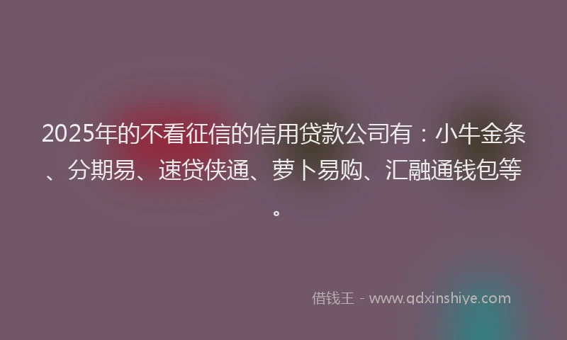 2025年的不看征信的信用贷款公司有：小牛金条、分期易、速贷侠通、萝卜易购、汇融通钱包等。