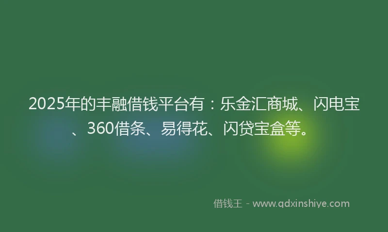 2025年的丰融借钱平台有：乐金汇商城、闪电宝、360借条、易得花、闪贷宝盒等。