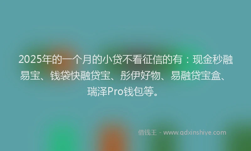2025年的一个月的小贷不看征信的有：现金秒融易宝、钱袋快融贷宝、彤伊好物、易融贷宝盒、瑞泽Pro钱包等。