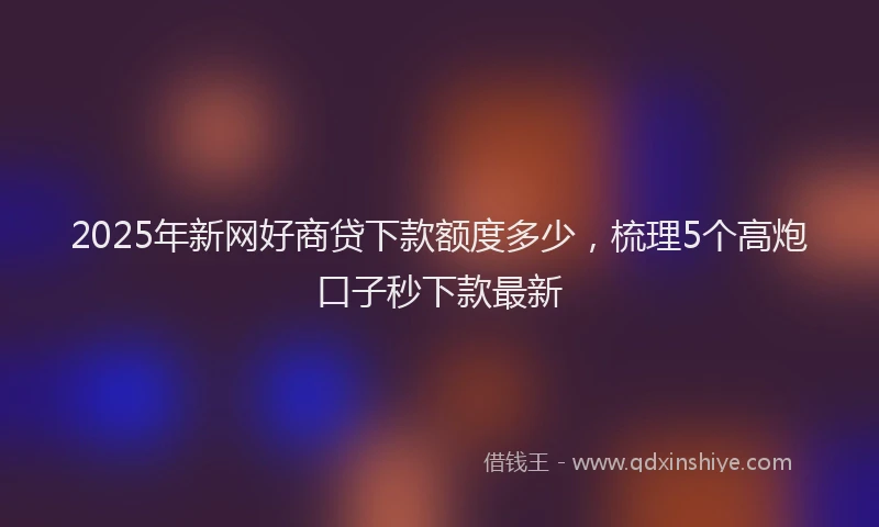 2025年新网好商贷下款额度多少，梳理5个高炮口子秒下款最新