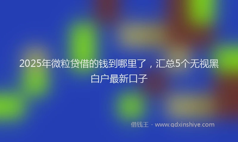 2025年微粒贷借的钱到哪里了，汇总5个无视黑白户最新口子