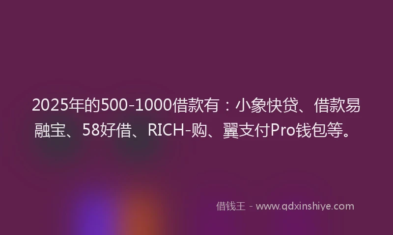 2025年的500-1000借款有：小象快贷、借款易融宝、58好借、RICH-购、翼支付Pro钱包等。