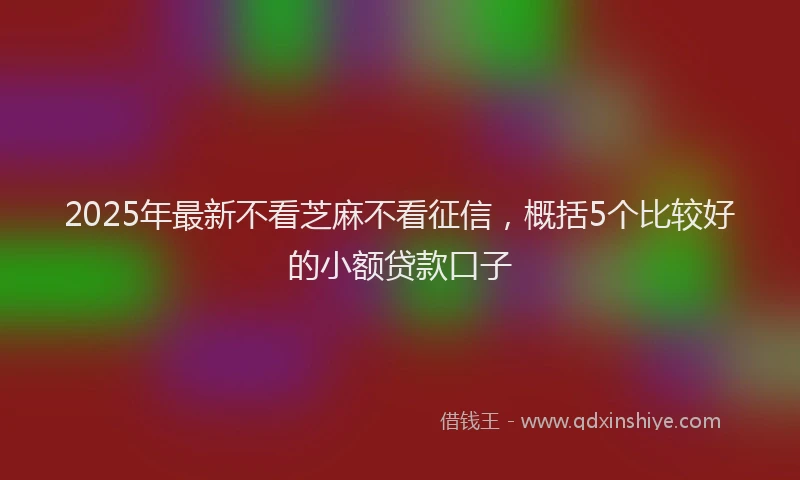 2025年最新不看芝麻不看征信，概括5个比较好的小额贷款口子