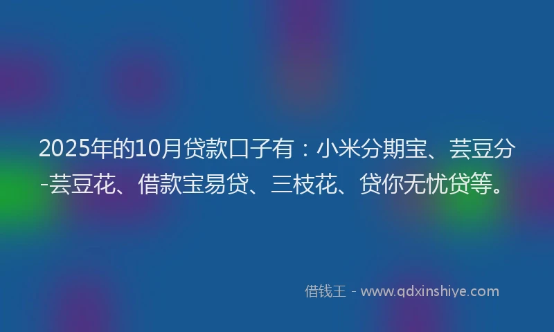 2025年的10月贷款口子有：小米分期宝、芸豆分-芸豆花、借款宝易贷、三枝花、贷你无忧贷等。