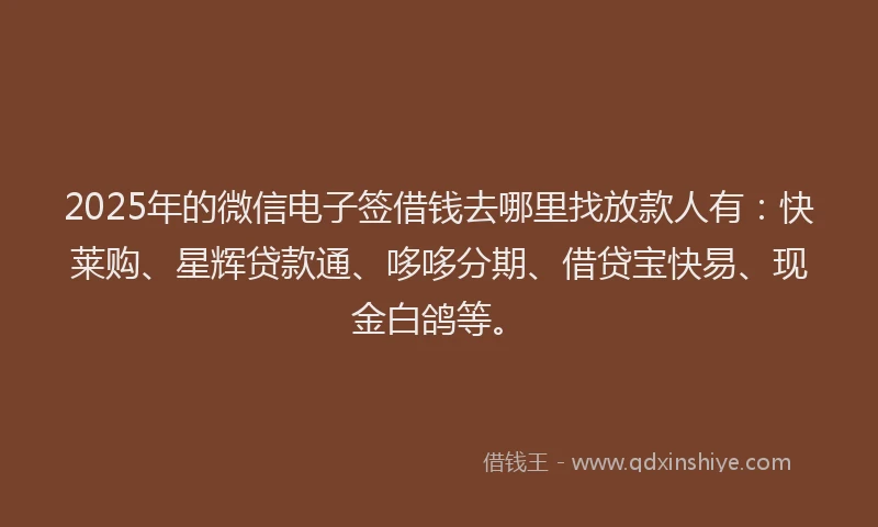 2025年的微信电子签借钱去哪里找放款人有：快莱购、星辉贷款通、哆哆分期、借贷宝快易、现金白鸽等。