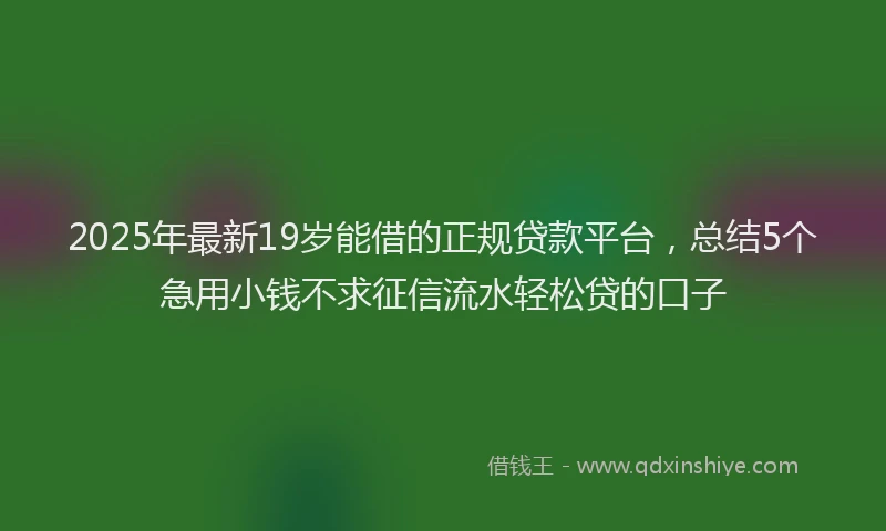 2025年最新19岁能借的正规贷款平台，总结5个急用小钱不求征信流水轻松贷的口子