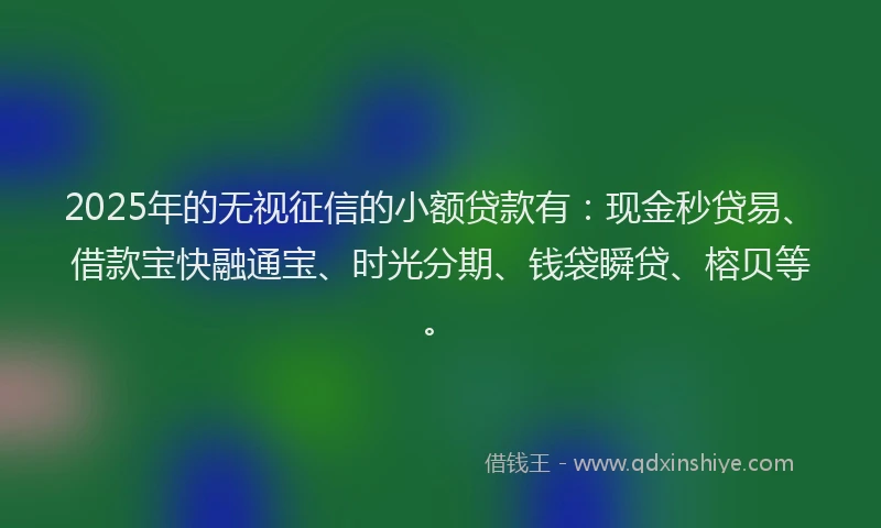 2025年的无视征信的小额贷款有：现金秒贷易、借款宝快融通宝、时光分期、钱袋瞬贷、榕贝等。