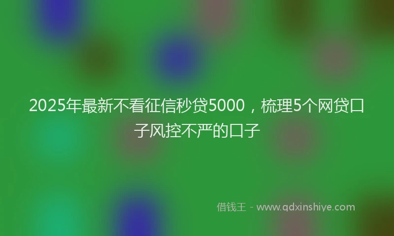 2025年最新不看征信秒贷5000，梳理5个网贷口子风控不严的口子