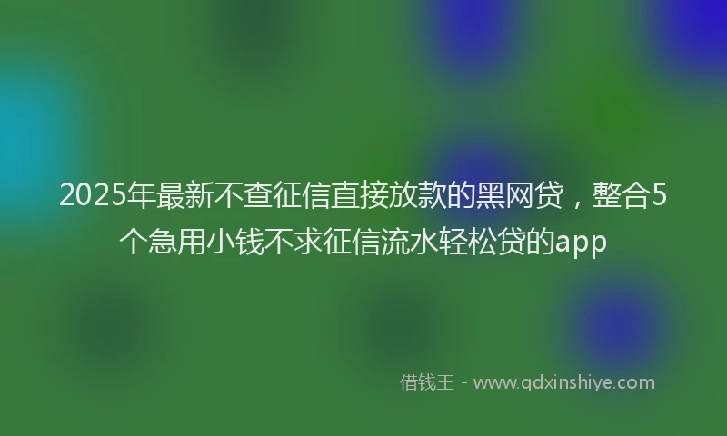 2025年最新不查征信直接放款的黑网贷，整合5个急用小钱不求征信流水轻松贷的app