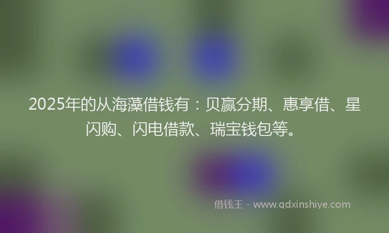 2025年的从海藻借钱有：贝赢分期、惠享借、星闪购、闪电借款、瑞宝钱包等。