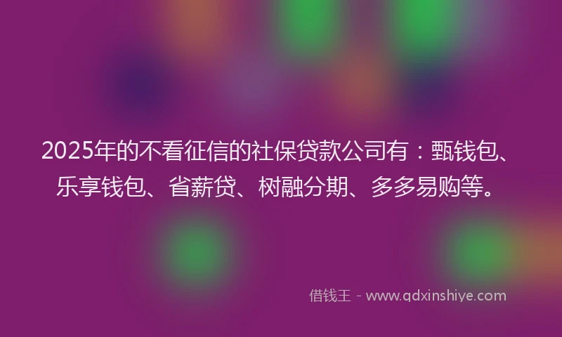 2025年的不看征信的社保贷款公司有：甄钱包、乐享钱包、省薪贷、树融分期、多多易购等。