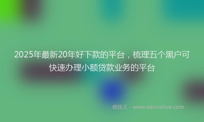 2025年最新20年好下款的平台，梳理五个黑户可快速办理小额贷款业务的平台