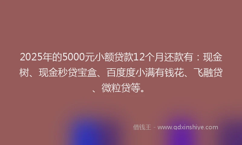 2025年的5000元小额贷款12个月还款有：现金树、现金秒贷宝盒、百度度小满有钱花、飞融贷、微粒贷等。