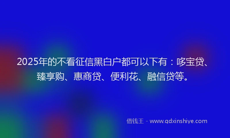 2025年的不看征信黑白户都可以下有：哆宝贷、臻享购、惠商贷、便利花、融信贷等。