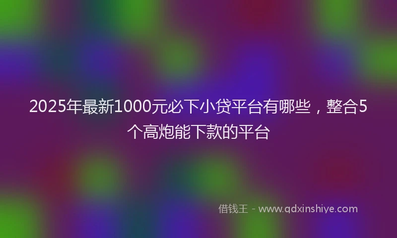 2025年最新1000元必下小贷平台有哪些，整合5个高炮能下款的平台