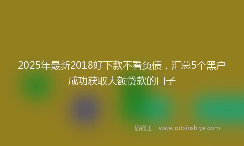 2025年最新2018好下款不看负债，汇总5个黑户成功获取大额贷款的口子