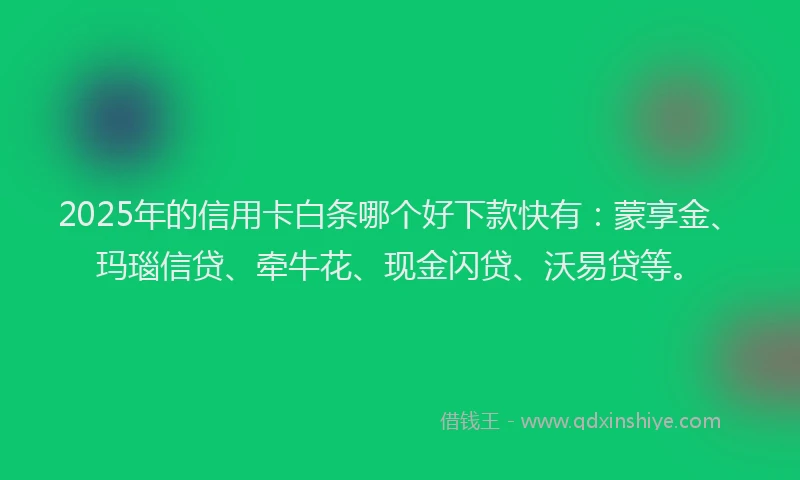 2025年的信用卡白条哪个好下款快有：蒙享金、玛瑙信贷、牵牛花、现金闪贷、沃易贷等。