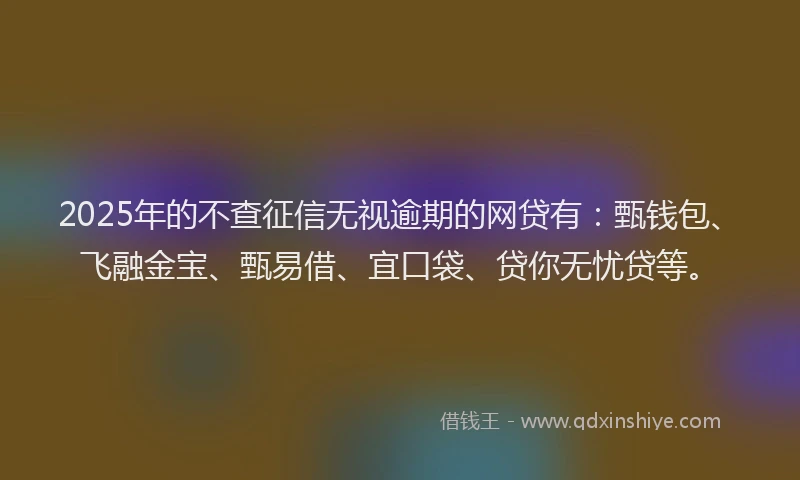 2025年的不查征信无视逾期的网贷有：甄钱包、飞融金宝、甄易借、宜口袋、贷你无忧贷等。