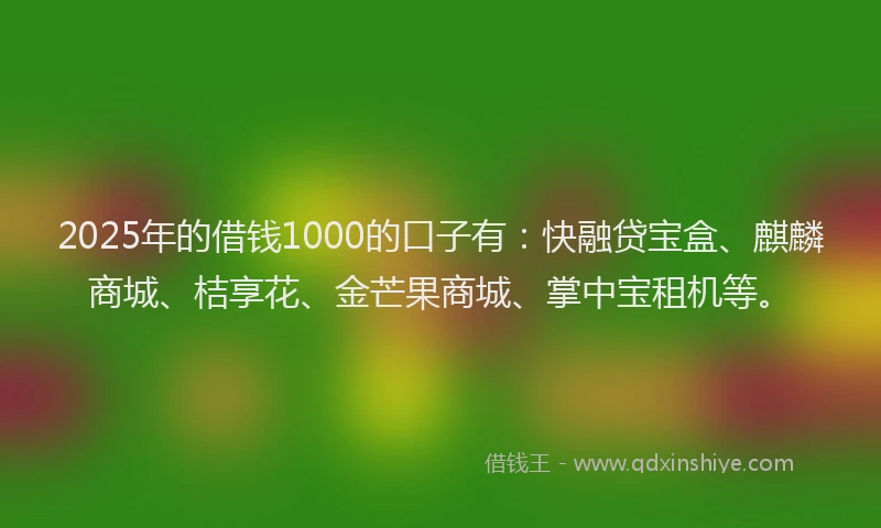 2025年的借钱1000的口子有：快融贷宝盒、麒麟商城、桔享花、金芒果商城、掌中宝租机等。