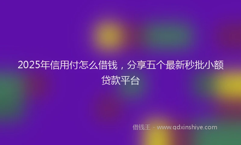 2025年信用付怎么借钱，分享五个最新秒批小额贷款平台