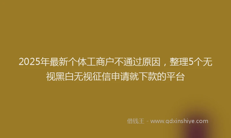 2025年最新个体工商户不通过原因，整理5个无视黑白无视征信申请就下款的平台