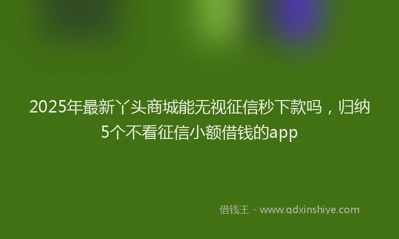 2025年最新丫头商城能无视征信秒下款吗，归纳5个不看征信小额借钱的app