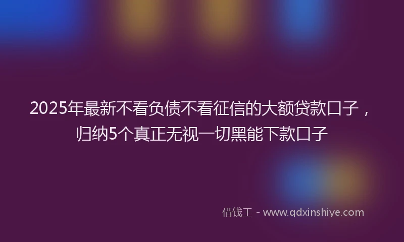 2025年最新不看负债不看征信的大额贷款口子，归纳5个真正无视一切黑能下款口子