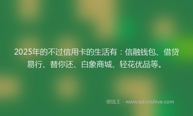 2025年的不过信用卡的生活有：信融钱包、借贷易行、替你还、白象商城、轻花优品等。