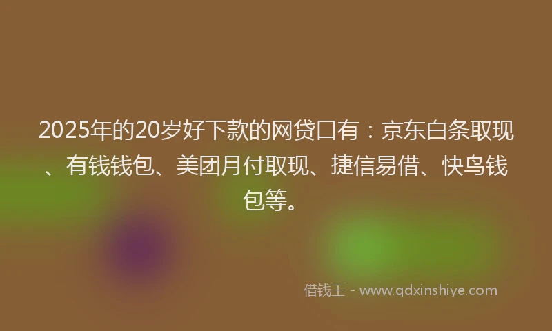 2025年的20岁好下款的网贷口有：京东白条取现、有钱钱包、美团月付取现、捷信易借、快鸟钱包等。