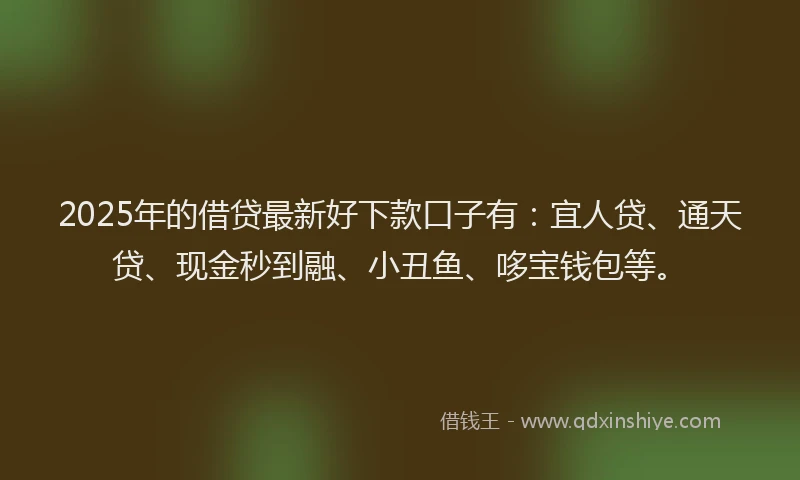 2025年的借贷最新好下款口子有：宜人贷、通天贷、现金秒到融、小丑鱼、哆宝钱包等。