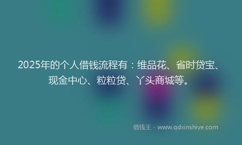 2025年的个人借钱流程有：维品花、省时贷宝、现金中心、粒粒贷、丫头商城等。