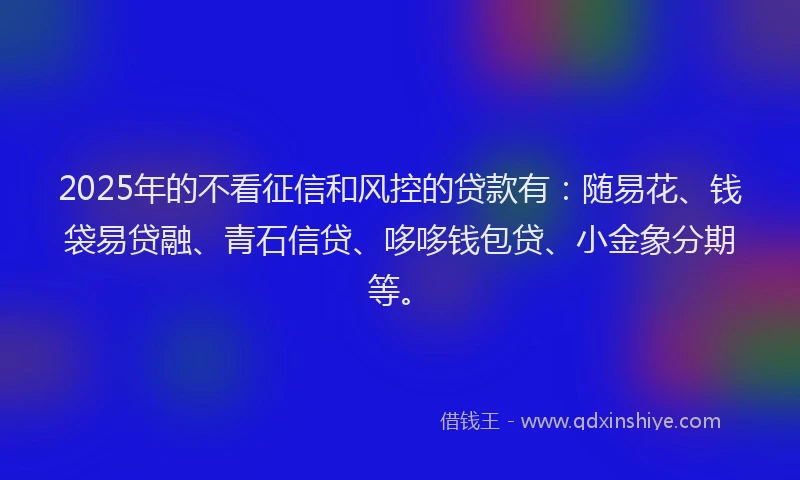 2025年的不看征信和风控的贷款有：随易花、钱袋易贷融、青石信贷、哆哆钱包贷、小金象分期等。
