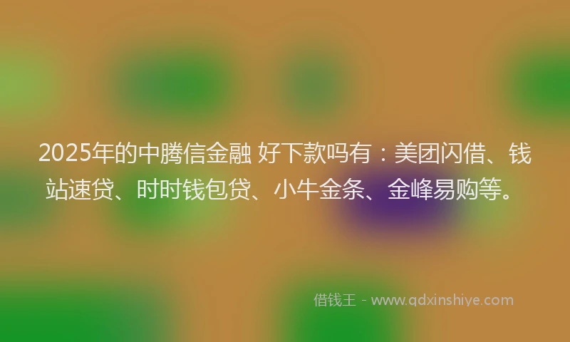 2025年的中腾信金融 好下款吗有：美团闪借、钱站速贷、时时钱包贷、小牛金条、金峰易购等。