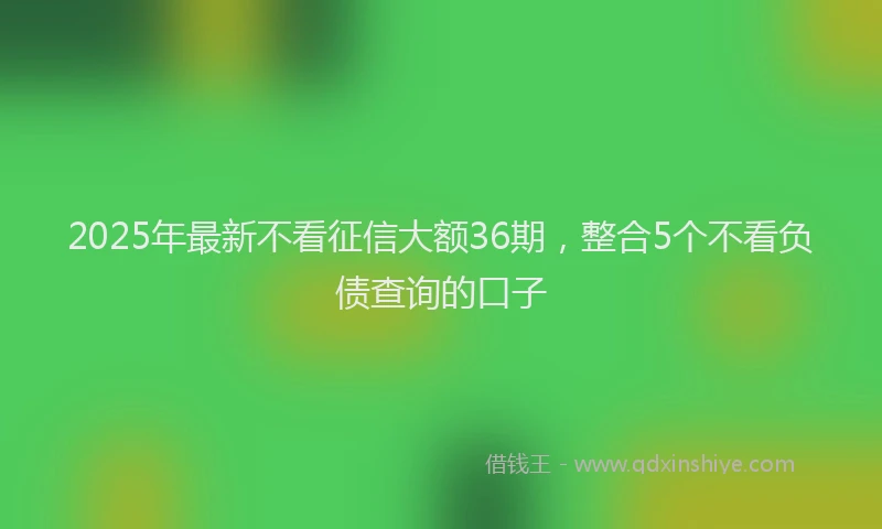 2025年最新不看征信大额36期，整合5个不看负债查询的口子