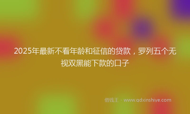 2025年最新不看年龄和征信的贷款，罗列五个无视双黑能下款的口子