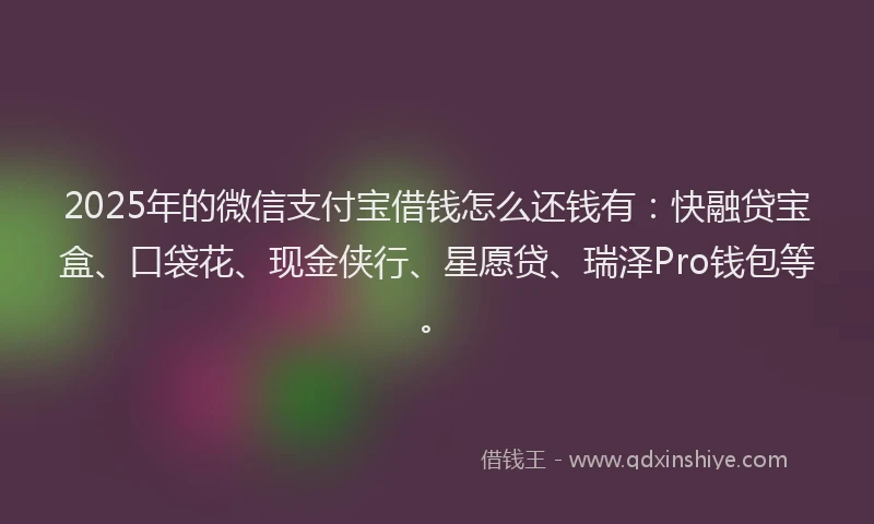 2025年的微信支付宝借钱怎么还钱有：快融贷宝盒、口袋花、现金侠行、星愿贷、瑞泽Pro钱包等。