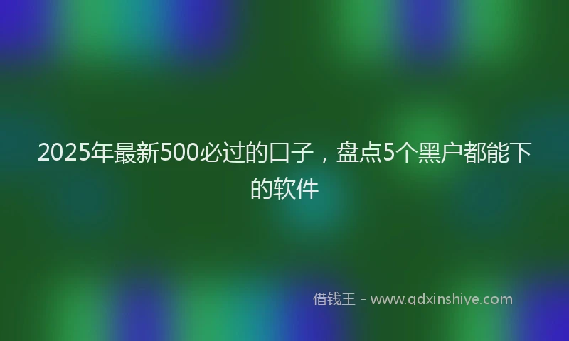 2025年最新500必过的口子，盘点5个黑户都能下的软件