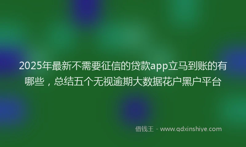 2025年最新不需要征信的贷款app立马到账的有哪些，总结五个无视逾期大数据花户黑户平台