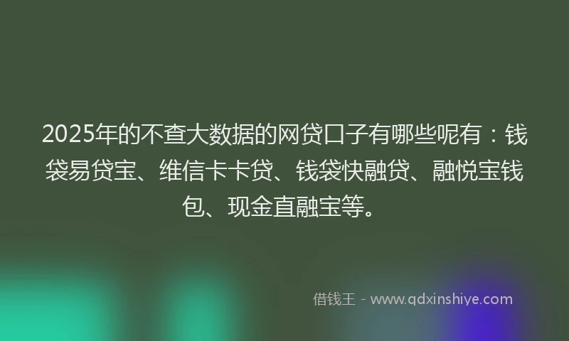 2025年的不查大数据的网贷口子有哪些呢有：钱袋易贷宝、维信卡卡贷、钱袋快融贷、融悦宝钱包、现金直融宝等。