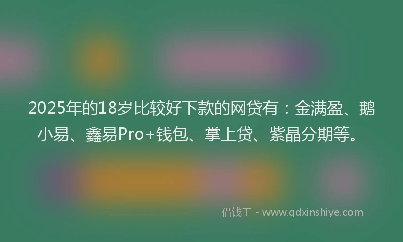 2025年的18岁比较好下款的网贷有：金满盈、鹅小易、鑫易Pro+钱包、掌上贷、紫晶分期等。