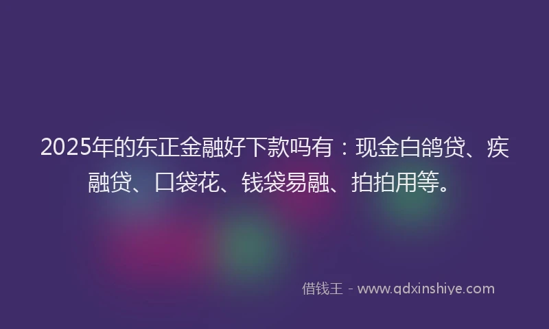 2025年的东正金融好下款吗有：现金白鸽贷、疾融贷、口袋花、钱袋易融、拍拍用等。