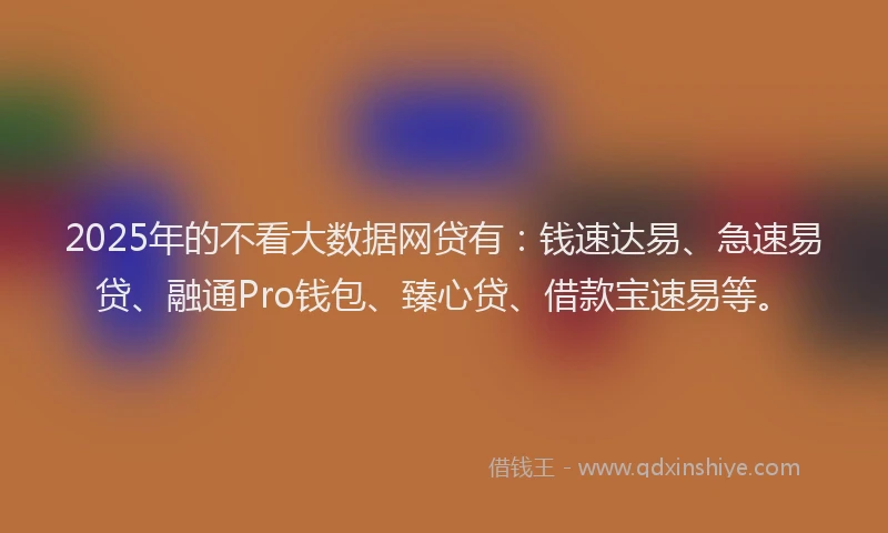2025年的不看大数据网贷有：钱速达易、急速易贷、融通Pro钱包、臻心贷、借款宝速易等。