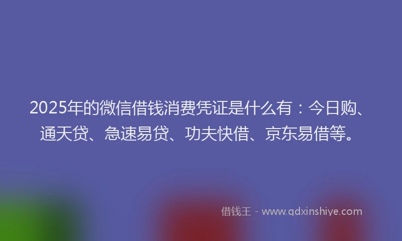2025年的微信借钱消费凭证是什么有：今日购、通天贷、急速易贷、功夫快借、京东易借等。